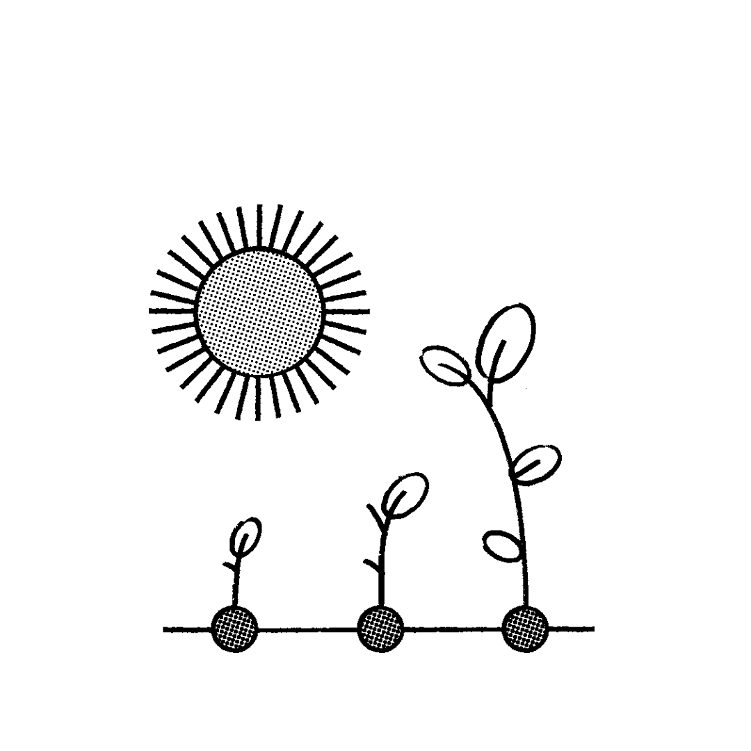 Illustration of sprouts growing